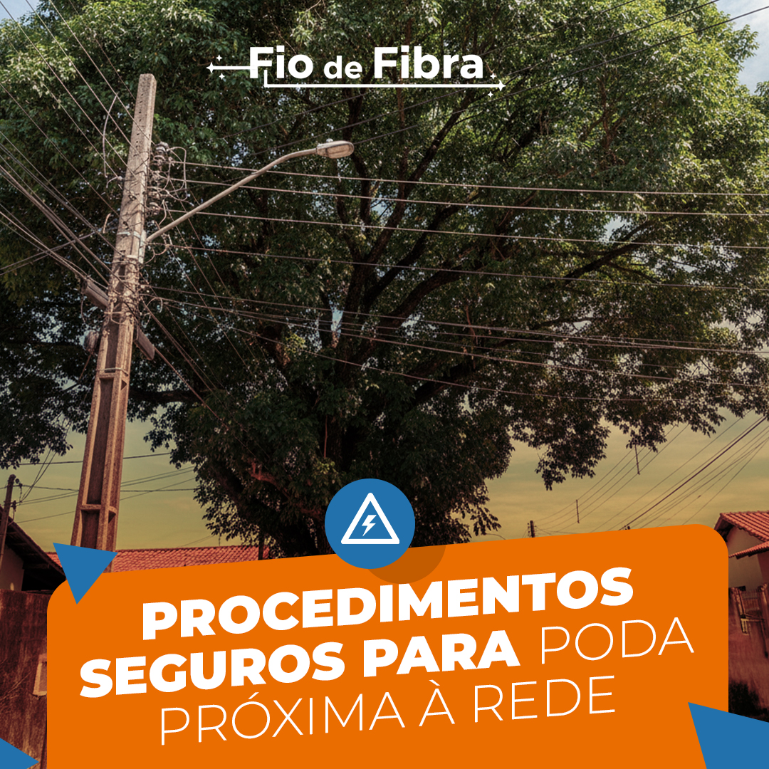Leia mais sobre o artigo Procedimentos seguros para poda próxima à rede